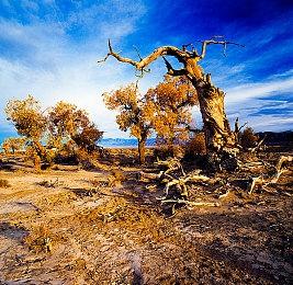  《反转21克》今日上线，与七位红颜一起揭开电影级科幻的谜团！