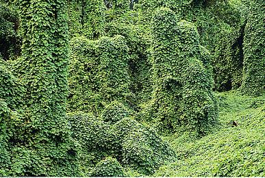 《辐射4》DLC规模MOD“辐射：伦敦”明年4月发布